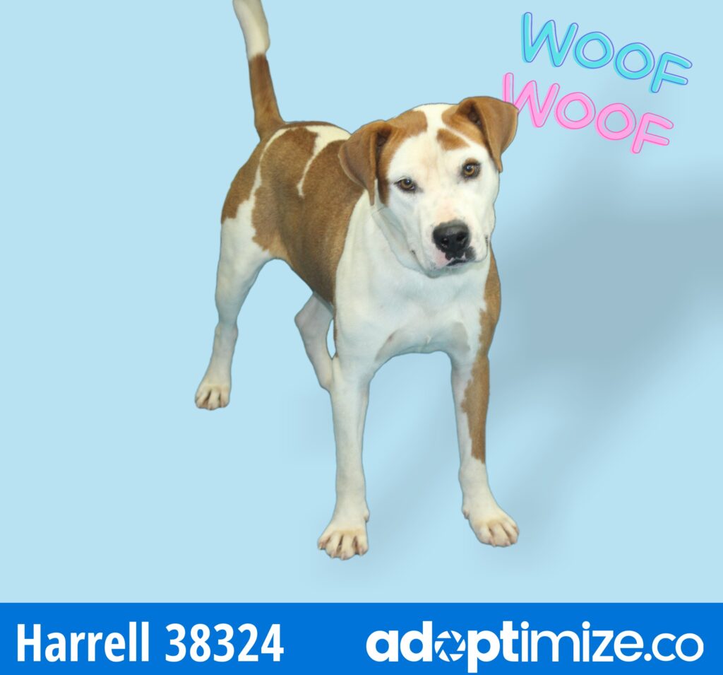 Harrell 38324 BainbridgeDecatur County Humane Society