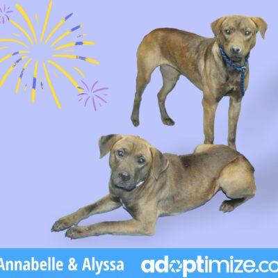 Annabelle & Alyssa 39251-52