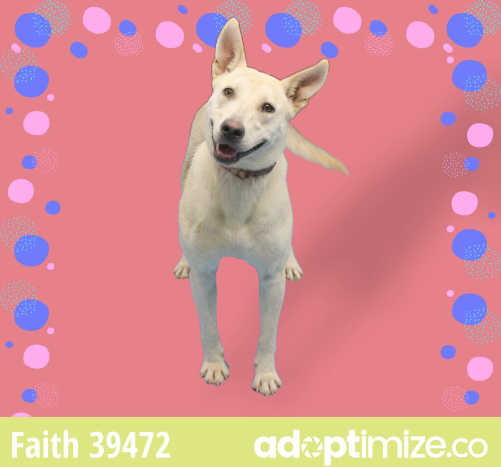 Faith 39472 BainbridgeDecatur County Humane Society
