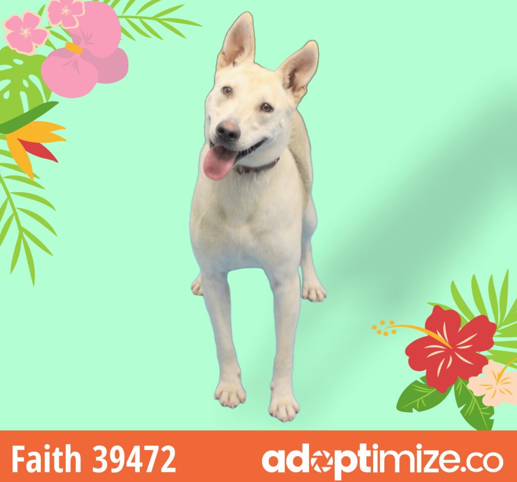 Faith 39472 BainbridgeDecatur County Humane Society