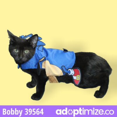 Bobby - Kits 39561-64