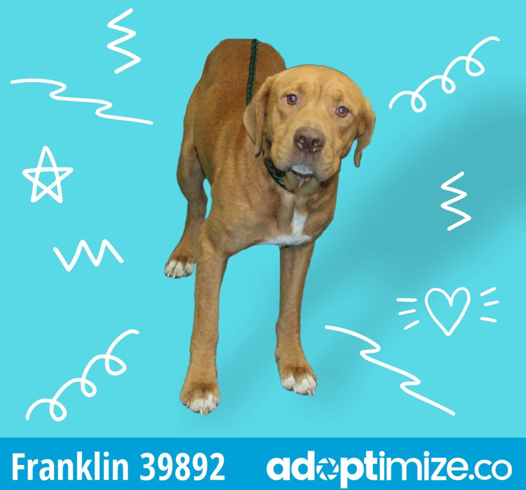 Franklin 39892 BainbridgeDecatur County Humane Society
