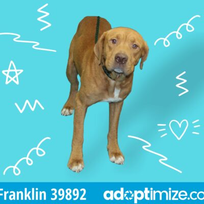 Franklin & Fortune 39892-93