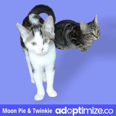 Moon Pie & Twinkie 39818-19