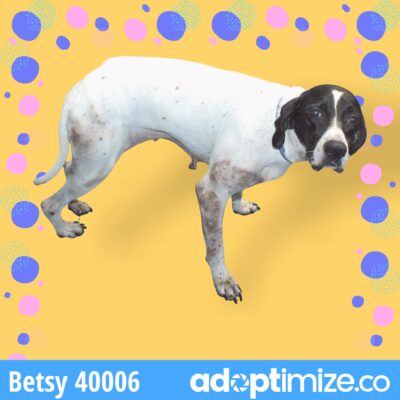 Betsy 40006