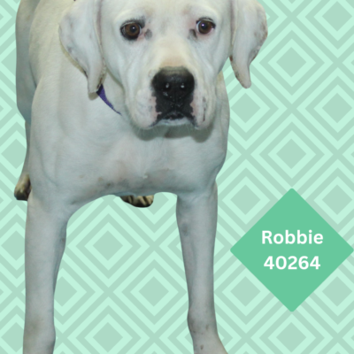 Robbie 40264