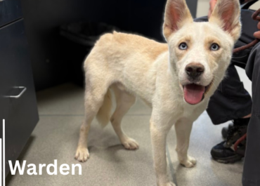Warden 43869, 2 Years/Male